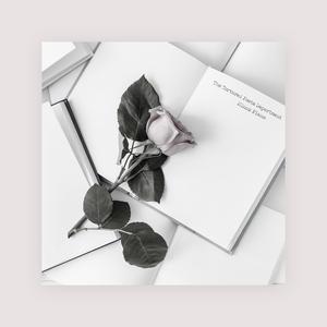 伊人婷婷色香五月综合缴缴情
