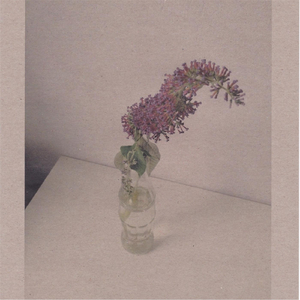 伊人婷婷色香五月综合缴缴情
